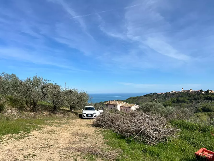 Immagine 10 di Terreno agricolo in vendita  in VIA DELL'ACQUEDOTTO SNC a Tortoreto