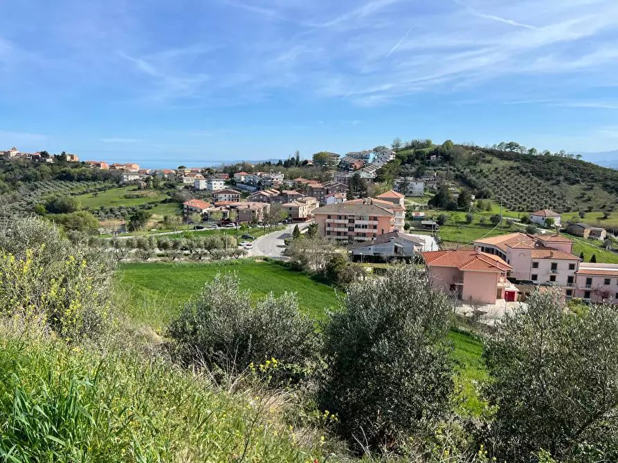 Immagine 11 di Terreno agricolo in vendita  in VIA DELL'ACQUEDOTTO SNC a Tortoreto