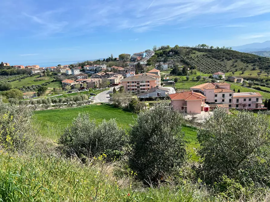 Immagine 12 di Terreno agricolo in vendita  in VIA DELL'ACQUEDOTTO SNC a Tortoreto