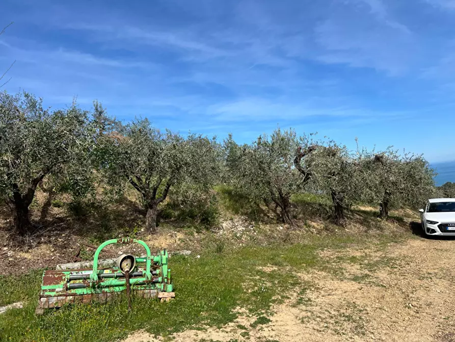 Immagine 14 di Terreno agricolo in vendita  in VIA DELL'ACQUEDOTTO SNC a Tortoreto