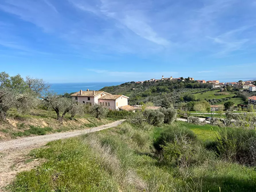 Immagine 15 di Terreno agricolo in vendita  in VIA DELL'ACQUEDOTTO SNC a Tortoreto