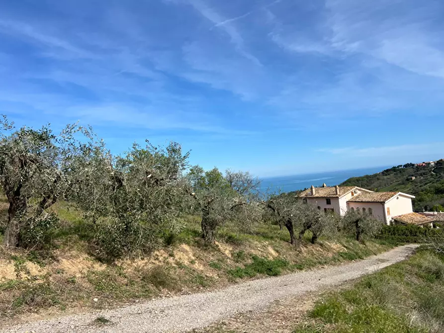 Immagine 16 di Terreno agricolo in vendita  in VIA DELL'ACQUEDOTTO SNC a Tortoreto
