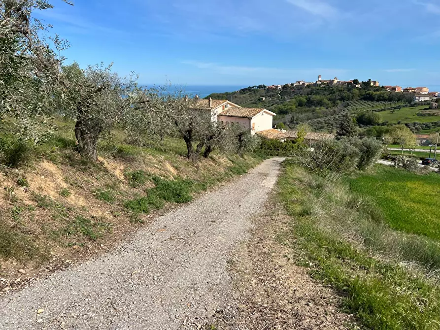 Immagine 19 di Terreno agricolo in vendita  in VIA DELL'ACQUEDOTTO SNC a Tortoreto