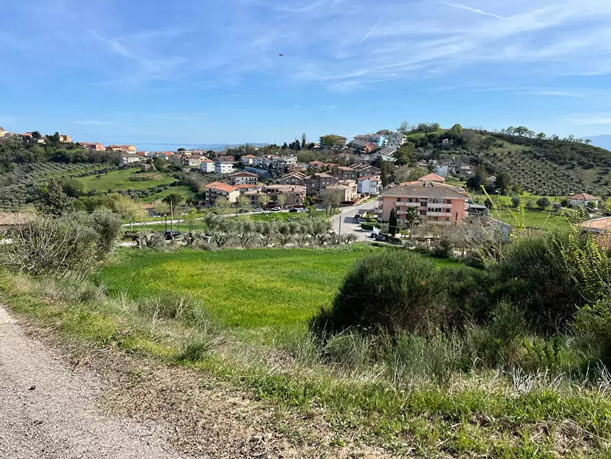 Immagine 20 di Terreno agricolo in vendita  in VIA DELL'ACQUEDOTTO SNC a Tortoreto