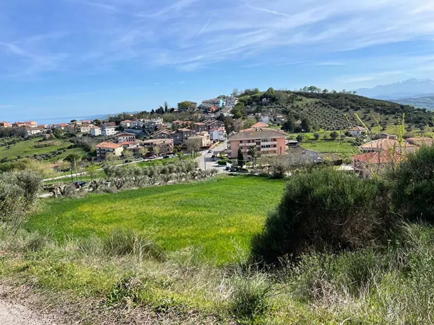 Immagine 21 di Terreno agricolo in vendita  in VIA DELL'ACQUEDOTTO SNC a Tortoreto