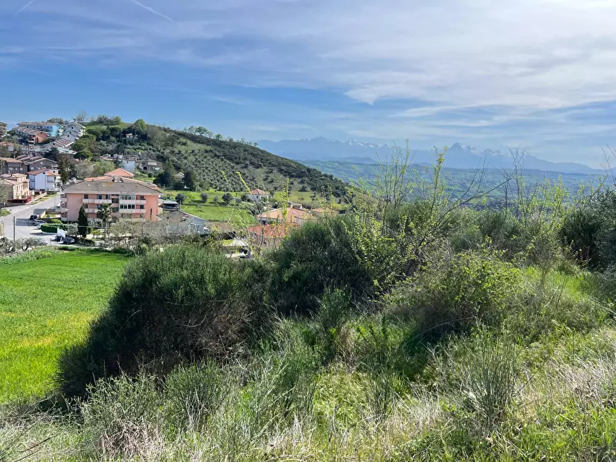 Immagine 23 di Terreno agricolo in vendita  in VIA DELL'ACQUEDOTTO SNC a Tortoreto