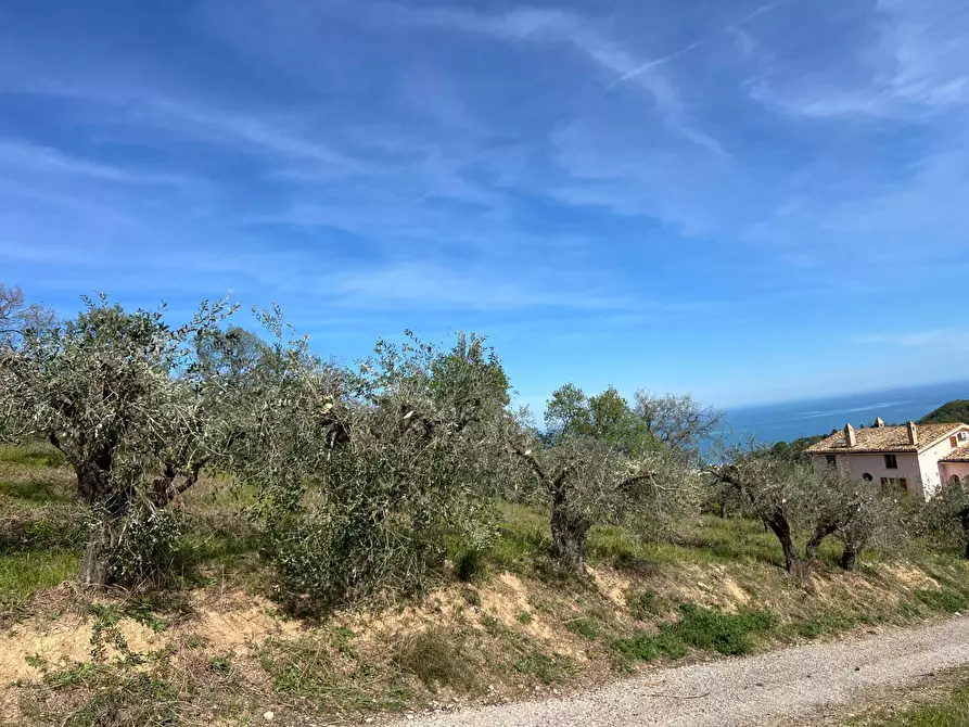 Immagine 26 di Terreno agricolo in vendita  in VIA DELL'ACQUEDOTTO SNC a Tortoreto