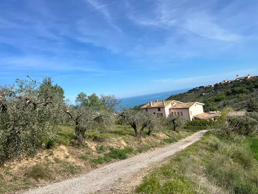 Immagine 27 di Terreno agricolo in vendita  in VIA DELL'ACQUEDOTTO SNC a Tortoreto