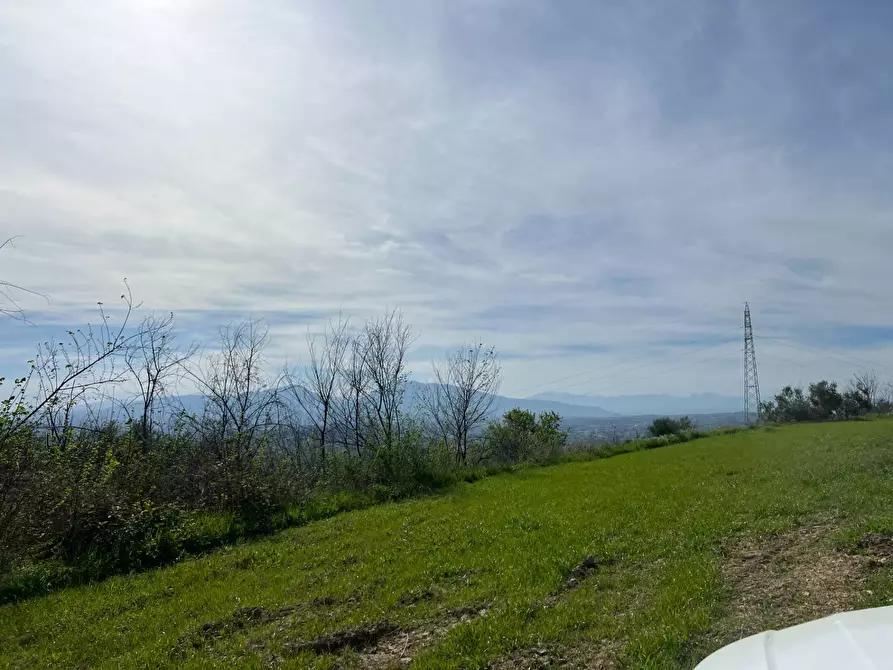 Immagine 28 di Terreno agricolo in vendita  in VIA DELL'ACQUEDOTTO SNC a Tortoreto