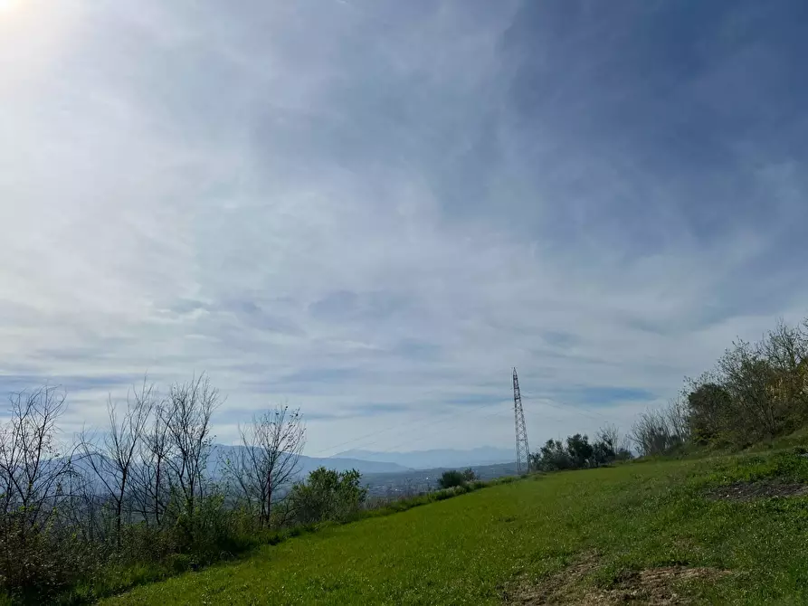 Immagine 29 di Terreno agricolo in vendita  in VIA DELL'ACQUEDOTTO SNC a Tortoreto