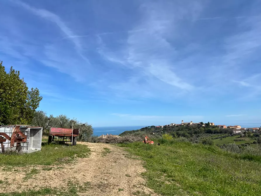 Immagine 30 di Terreno agricolo in vendita  in VIA DELL'ACQUEDOTTO SNC a Tortoreto