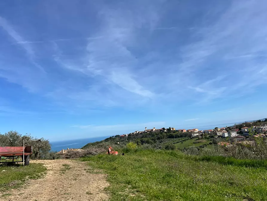 Immagine 31 di Terreno agricolo in vendita  in VIA DELL'ACQUEDOTTO SNC a Tortoreto