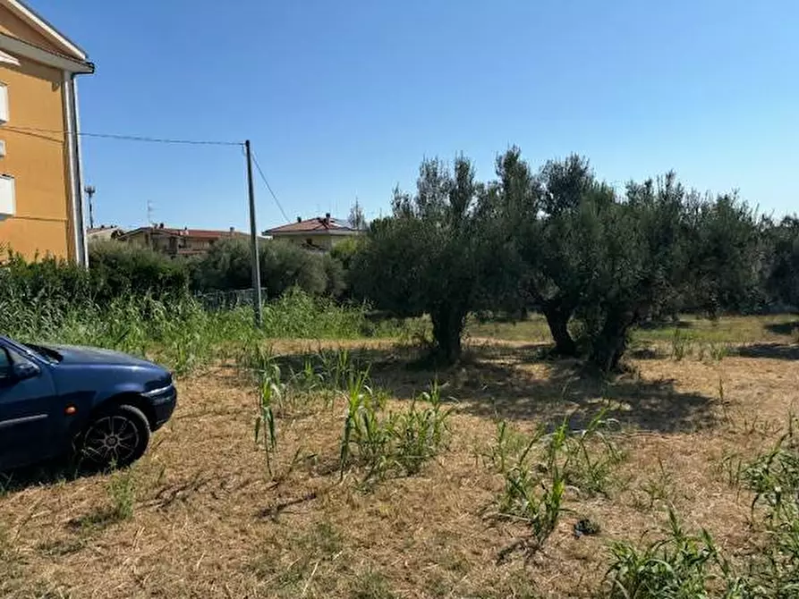 Immagine 4 di Terreno agricolo in vendita  in contrada muracche a Tortoreto