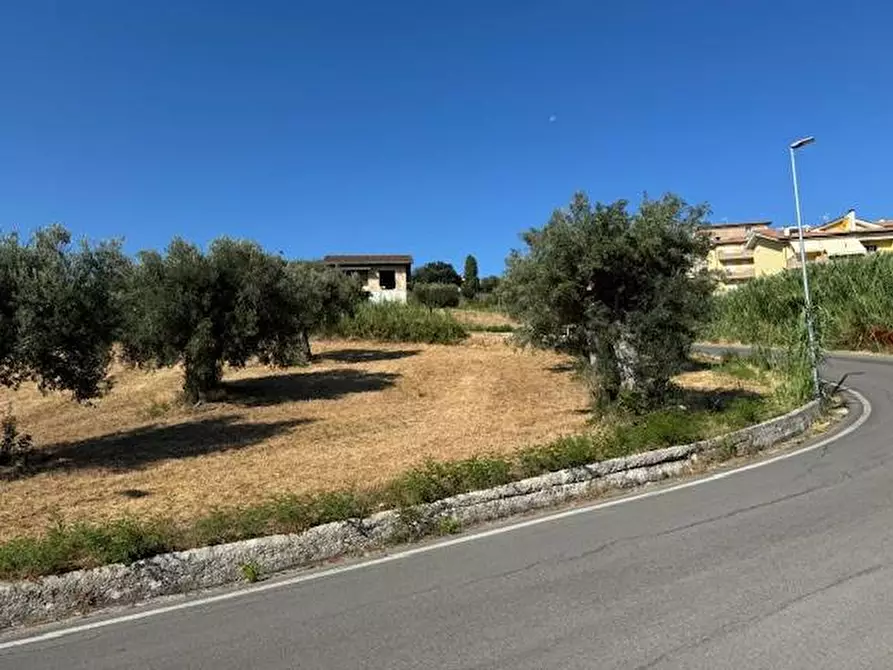Immagine 8 di Terreno agricolo in vendita  in contrada muracche a Tortoreto