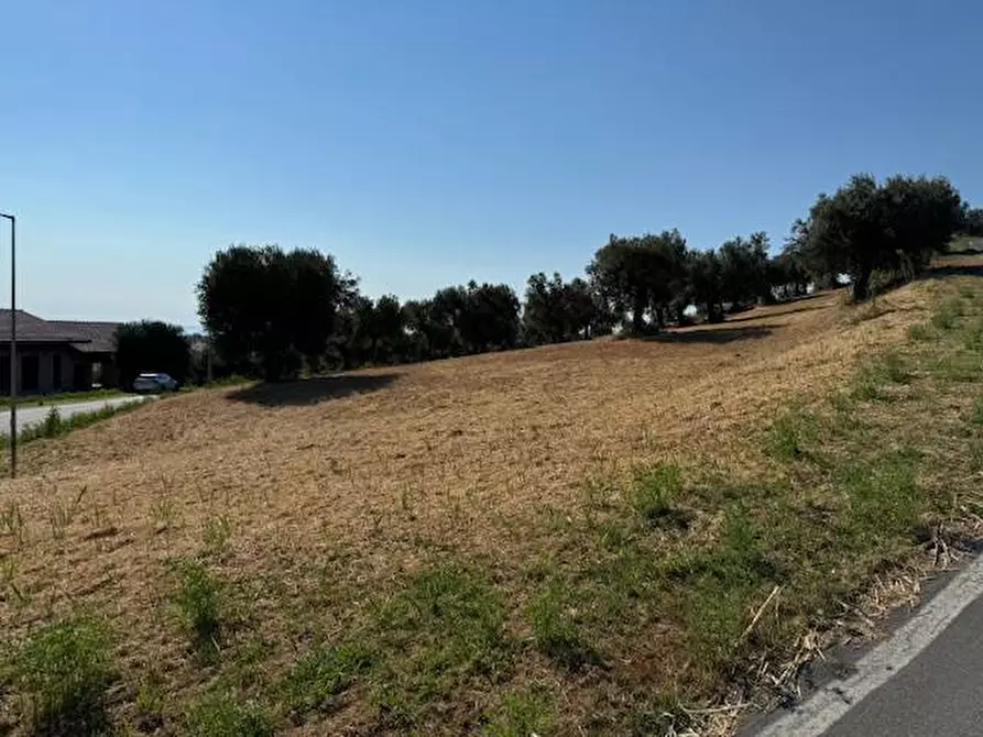 Immagine 10 di Terreno agricolo in vendita  in contrada muracche a Tortoreto