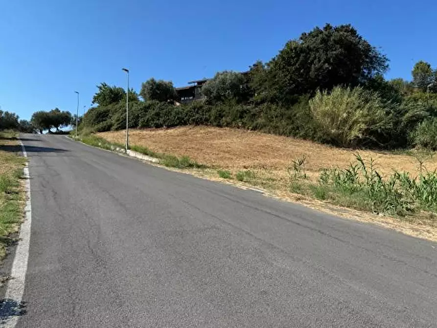 Immagine 11 di Terreno agricolo in vendita  in contrada muracche a Tortoreto