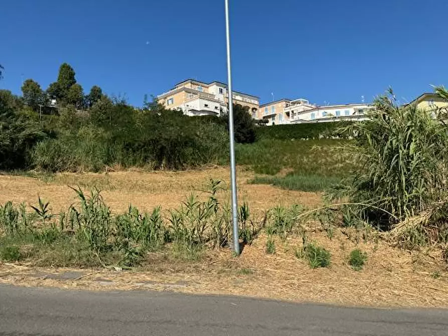 Immagine 12 di Terreno agricolo in vendita  in contrada muracche a Tortoreto