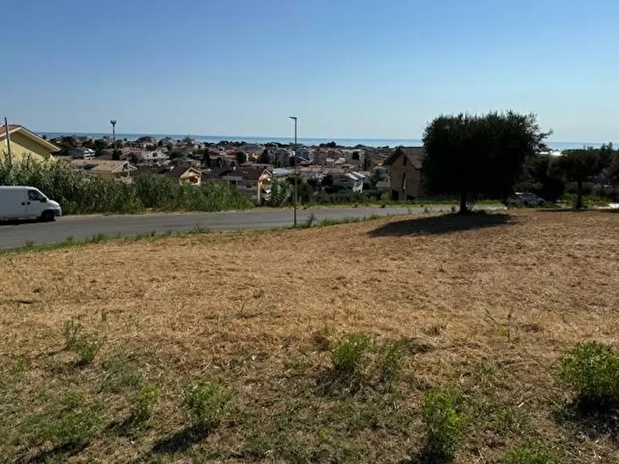 Immagine 13 di Terreno agricolo in vendita  in contrada muracche a Tortoreto