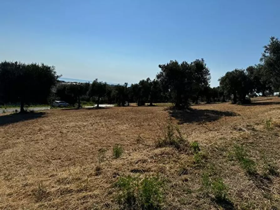 Immagine 15 di Terreno agricolo in vendita  in contrada muracche a Tortoreto
