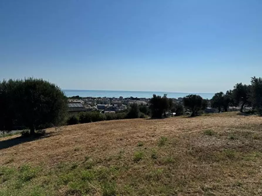 Immagine 17 di Terreno agricolo in vendita  in contrada muracche a Tortoreto