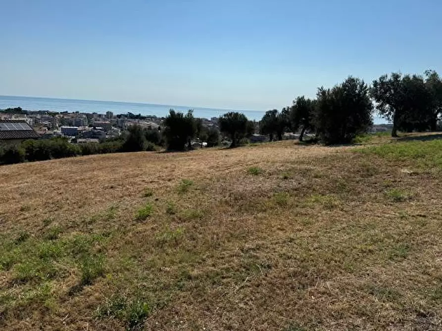 Immagine 19 di Terreno agricolo in vendita  in contrada muracche a Tortoreto