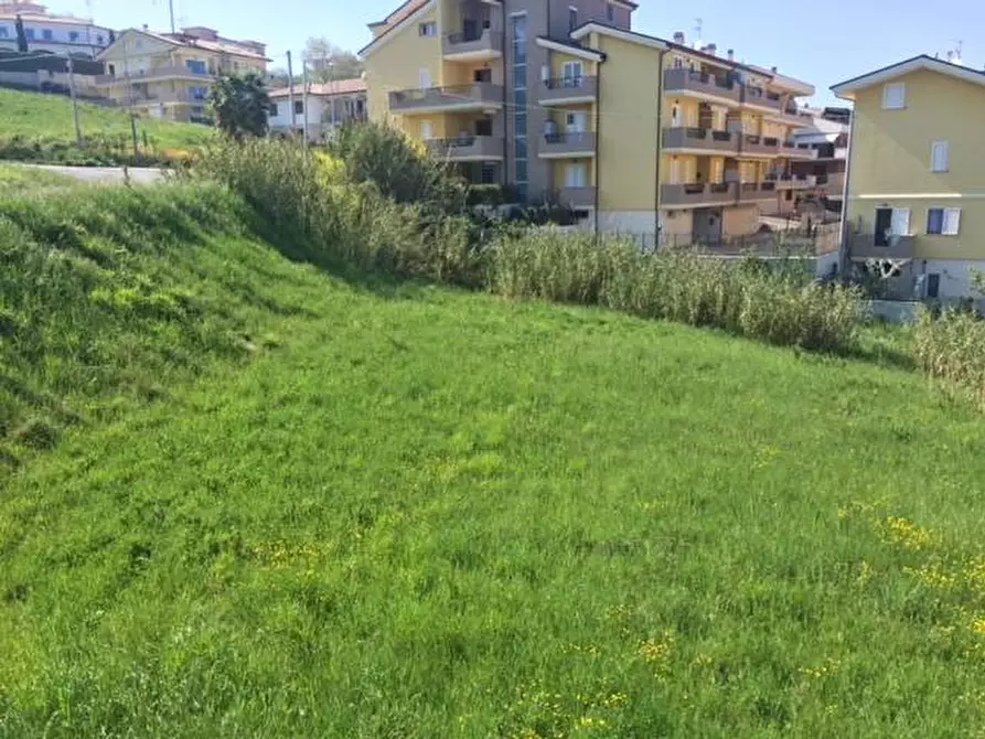 Immagine 20 di Terreno agricolo in vendita  in contrada muracche a Tortoreto