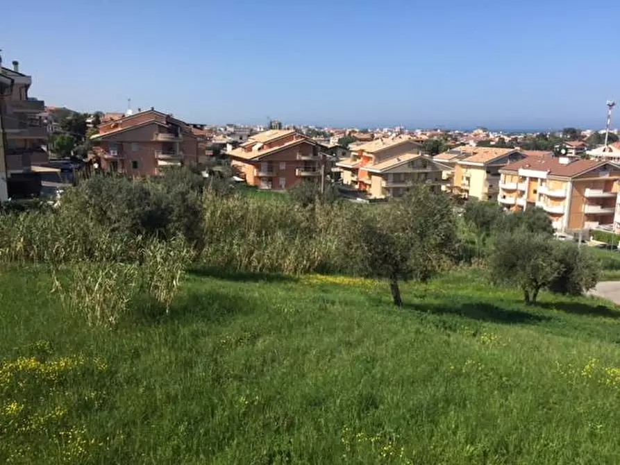 Immagine 21 di Terreno agricolo in vendita  in contrada muracche a Tortoreto
