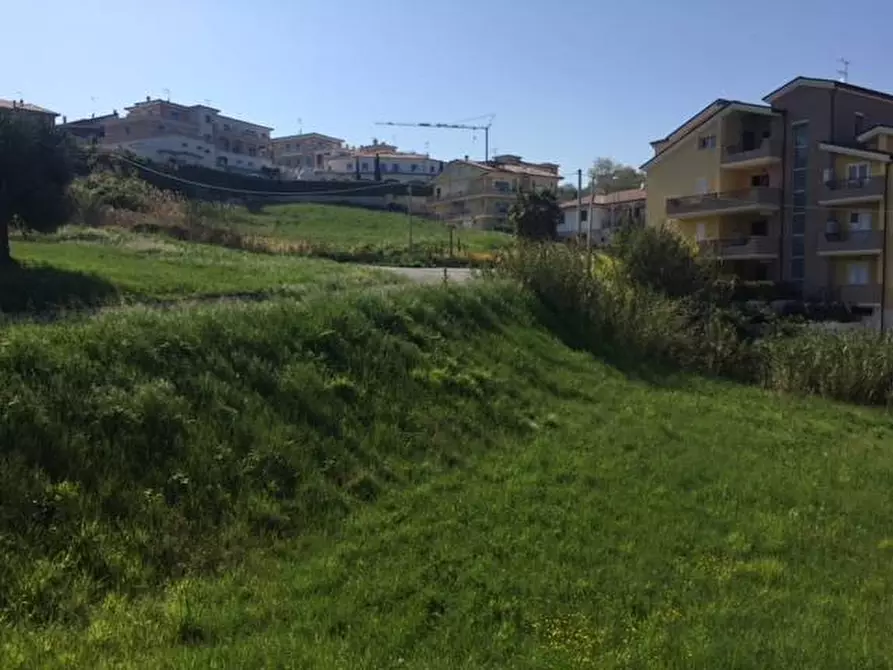 Immagine 22 di Terreno agricolo in vendita  in contrada muracche a Tortoreto