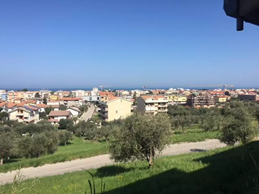 Immagine 23 di Terreno agricolo in vendita  in contrada muracche a Tortoreto