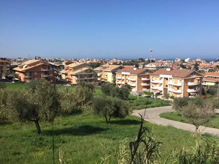 Immagine 24 di Terreno agricolo in vendita  in contrada muracche a Tortoreto