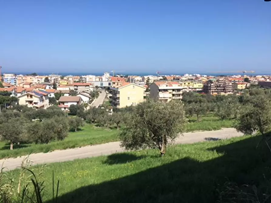 Immagine 25 di Terreno agricolo in vendita  in contrada muracche a Tortoreto