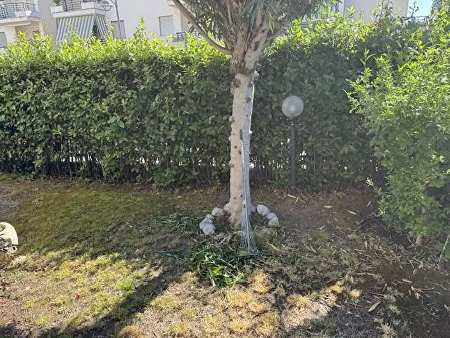 Immagine 23 di Appartamento in vendita  in VIA RIMINI 1 a Tortoreto