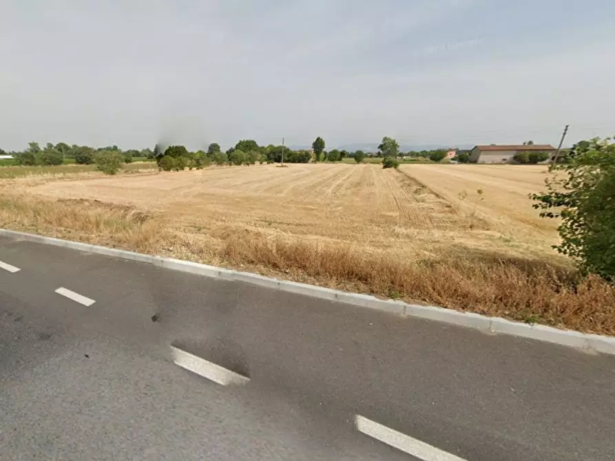 Immagine 4 di Terreno agricolo in vendita  in via Santa giustina a Montichiari