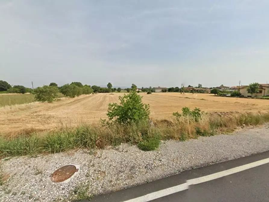 Immagine 7 di Terreno agricolo in vendita  in via Santa giustina a Montichiari