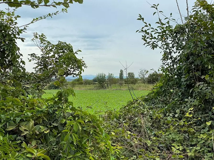 Immagine 1 di Terreno residenziale in vendita  in Sacca a Montichiari