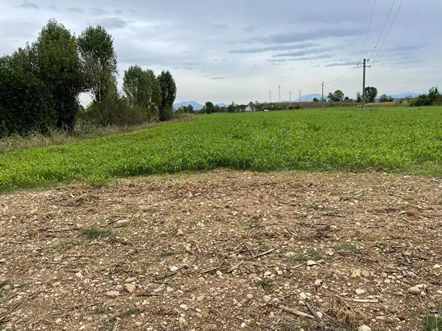 Immagine 5 di Terreno residenziale in vendita  in Sacca a Montichiari