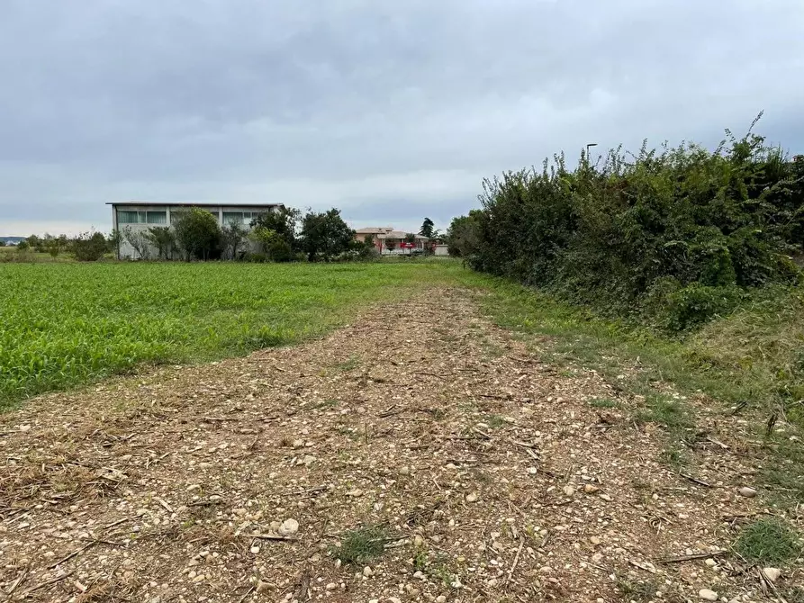 Immagine 4 di Terreno residenziale in vendita  in Sacca a Montichiari