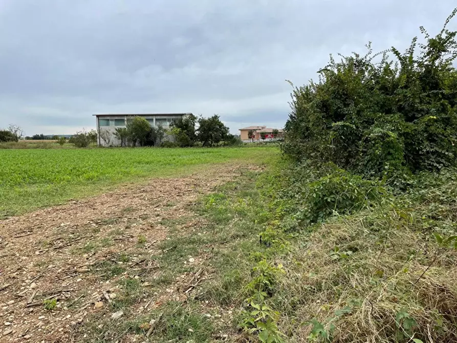 Immagine 7 di Terreno residenziale in vendita  in Sacca a Montichiari