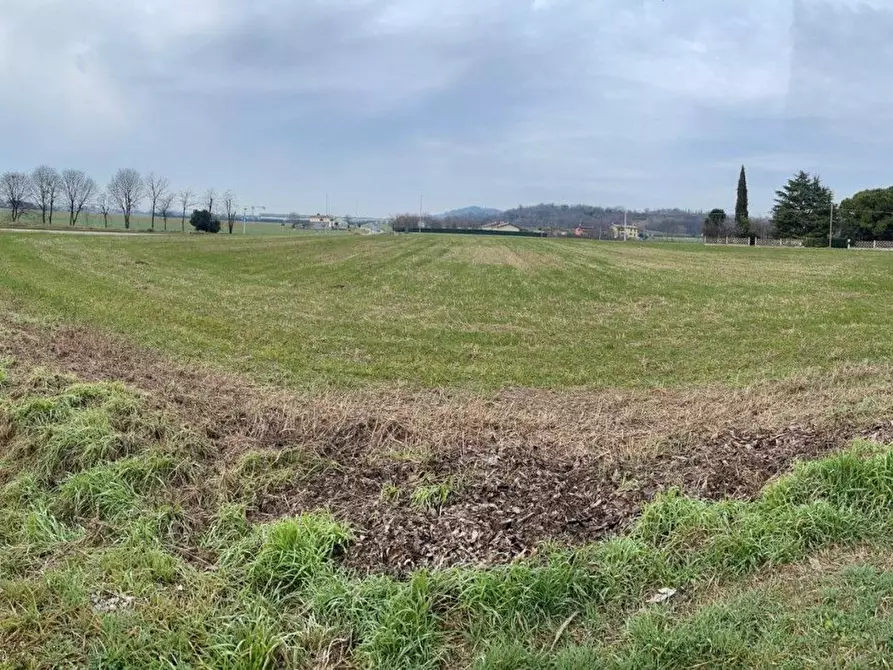 Immagine 3 di Locale commerciale in vendita  in monte alto a Casalmoro