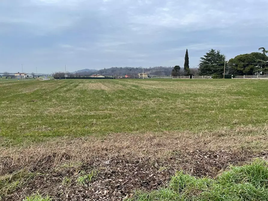 Immagine 5 di Locale commerciale in vendita  in monte alto a Casalmoro