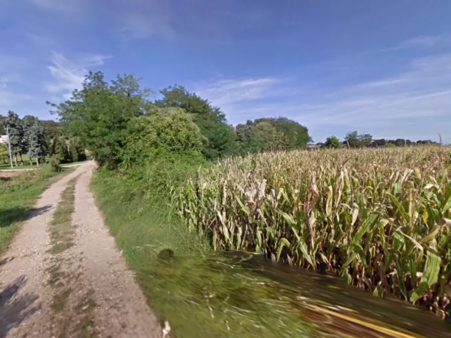 Immagine 1 di Terreno agricolo in vendita  in Cavallara a Casalmoro