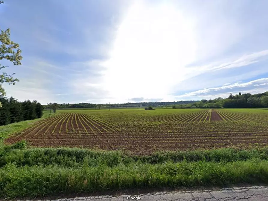 Immagine 2 di Terreno agricolo in vendita  in Cavallara a Casalmoro