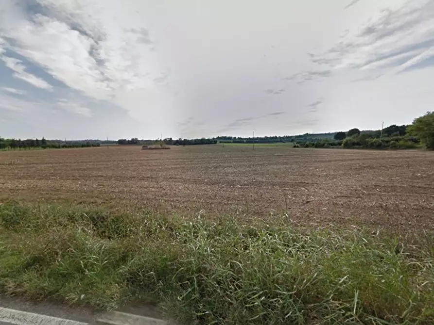 Immagine 6 di Terreno agricolo in vendita  in Cavallara a Casalmoro