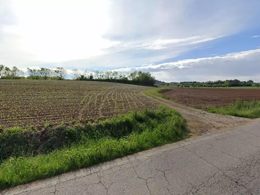 Immagine 1 di Terreno agricolo in vendita  in Cavallara a Casalmoro