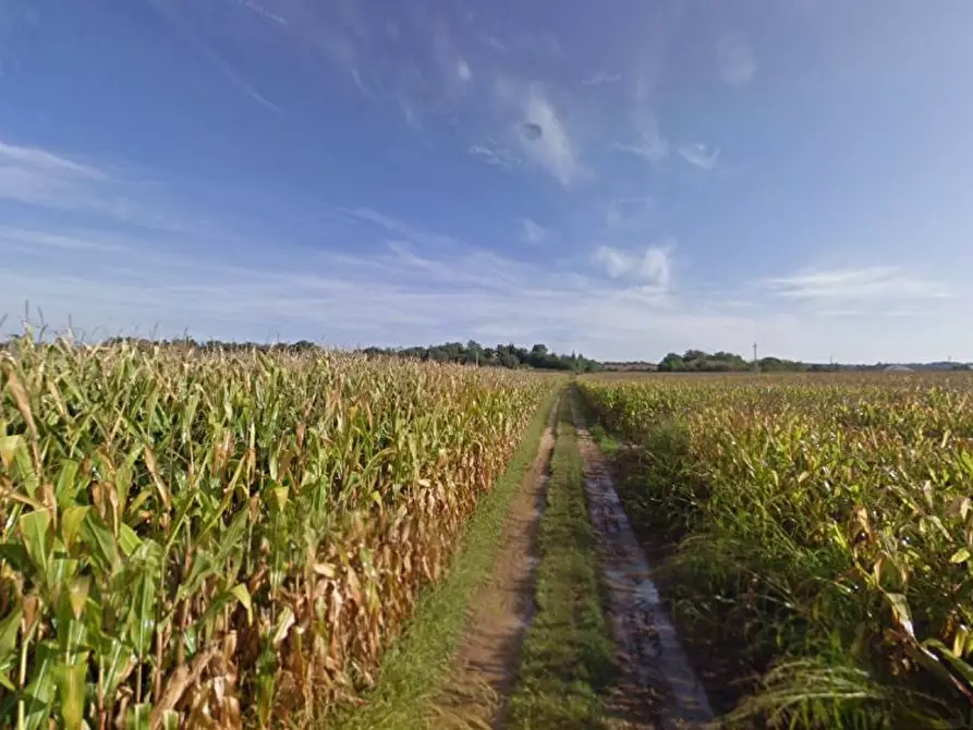 Immagine 2 di Terreno agricolo in vendita  in Cavallara a Casalmoro