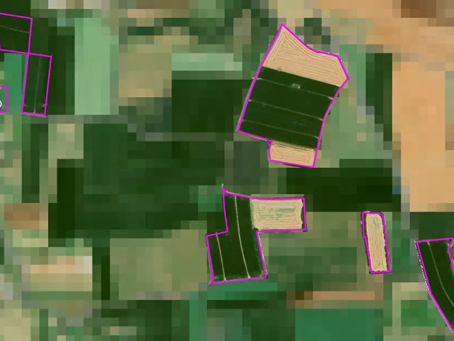 Immagine 3 di Terreno agricolo in vendita  in Cavallara a Casalmoro