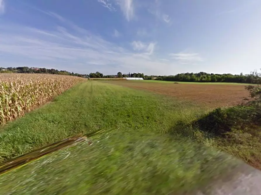Immagine 4 di Terreno agricolo in vendita  in Cavallara a Casalmoro