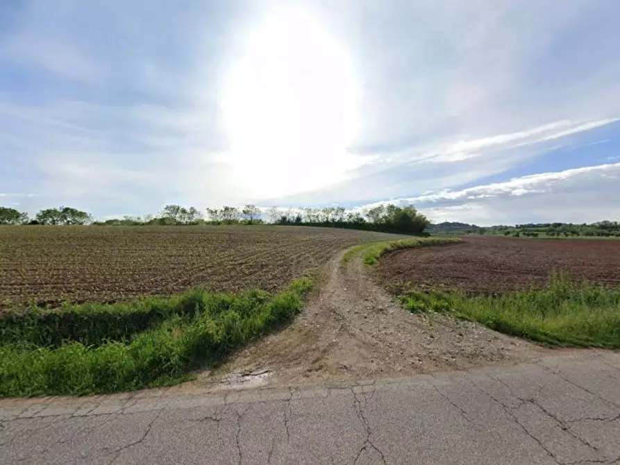 Immagine 5 di Terreno agricolo in vendita  in Cavallara a Casalmoro