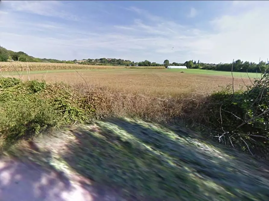 Immagine 7 di Terreno agricolo in vendita  in Cavallara a Casalmoro