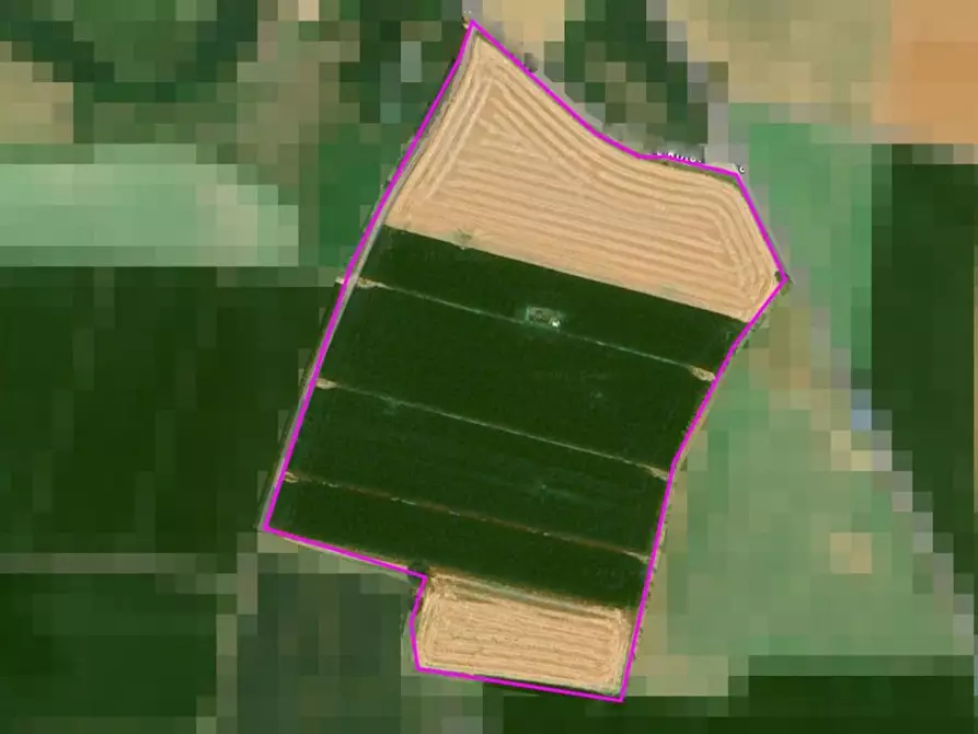 Immagine 9 di Terreno agricolo in vendita  in Cavallara a Casalmoro